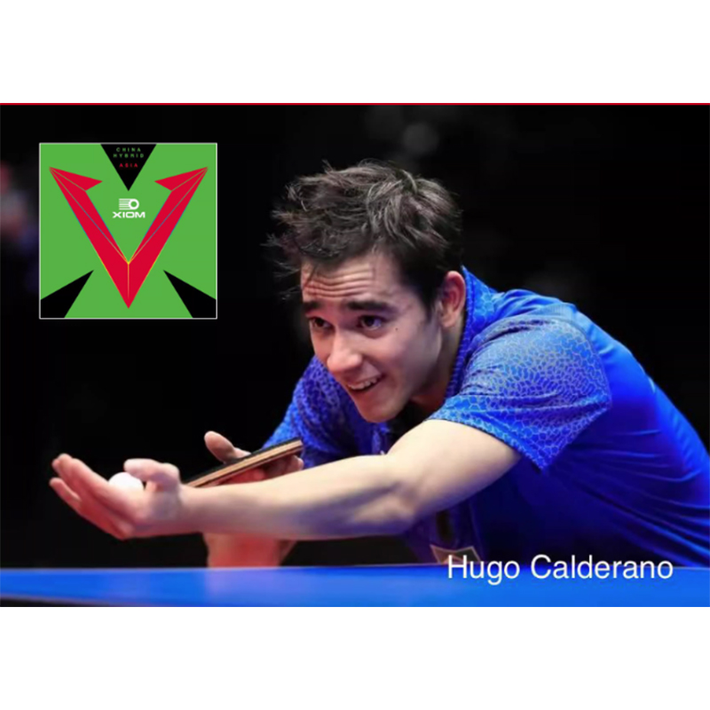XIOM VEGA ASIA HYBRID 79-079 T - Table Tennis Hybrid Rubbers 评论和价格