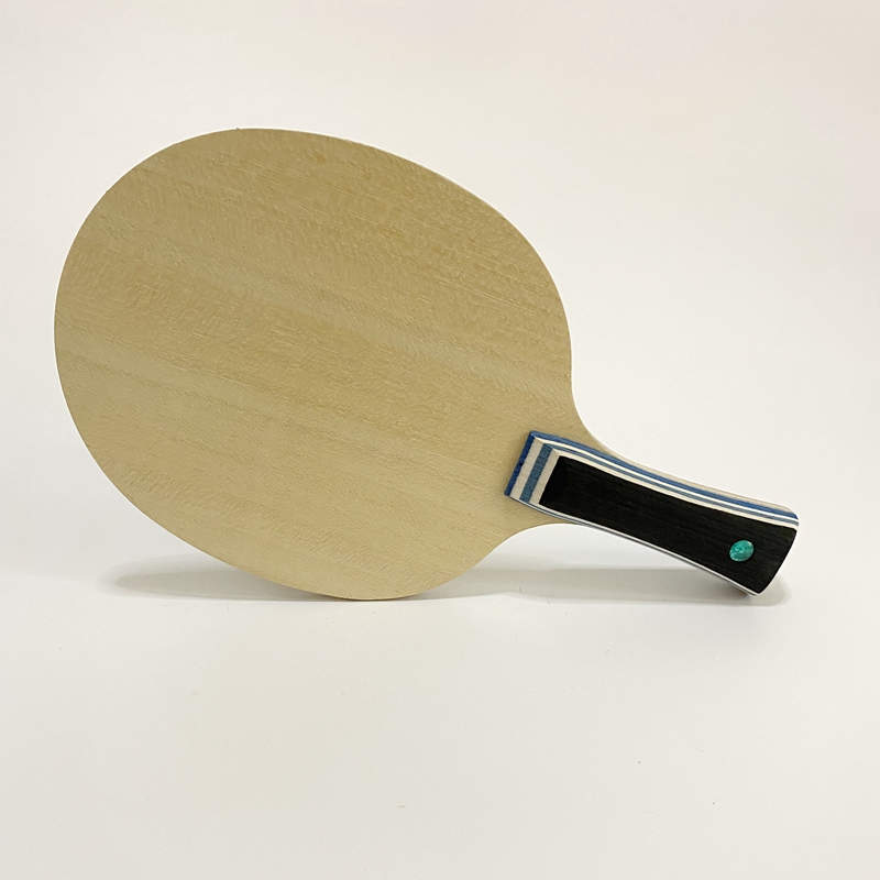 Lemuria VIS Carbon Fiber Table - Xu Xin Table Tennis 评论和价格