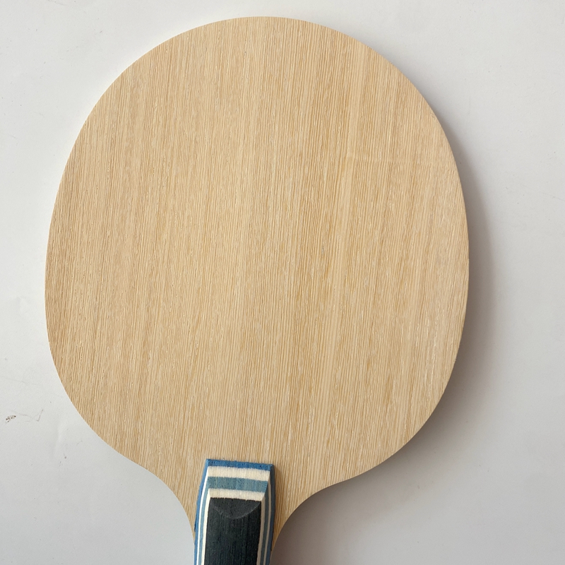 Lemuria VIS Carbon Fiber Table - Xu Xin Table Tennis 评论和价格