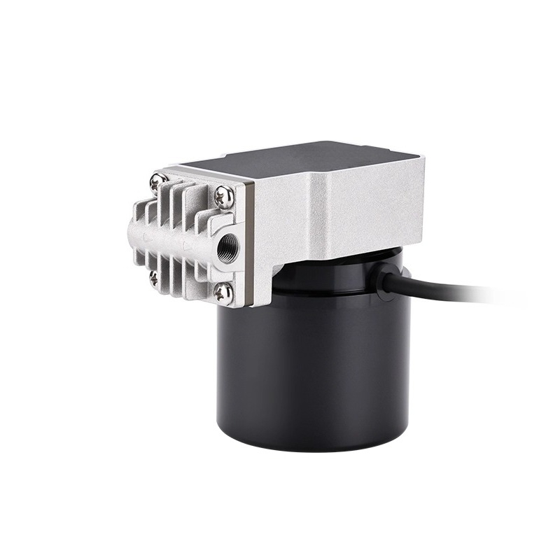 Swinging piston pump 24V boost - Rubber Booster Speed 评论和价格