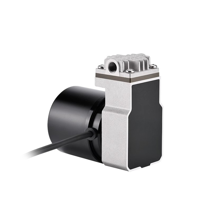 Swinging piston pump 24V boost - Rubber Booster Speed 评论和价格